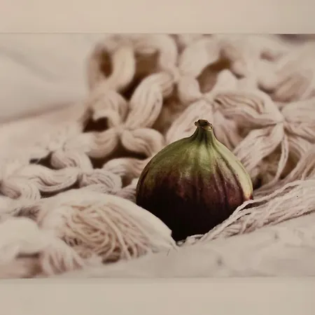 Ice Апартаменты Друскининкай