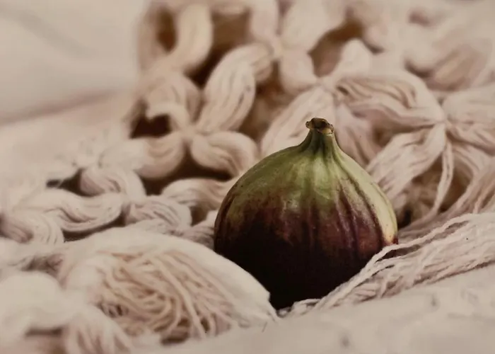 Ice Apartament Druskieniki